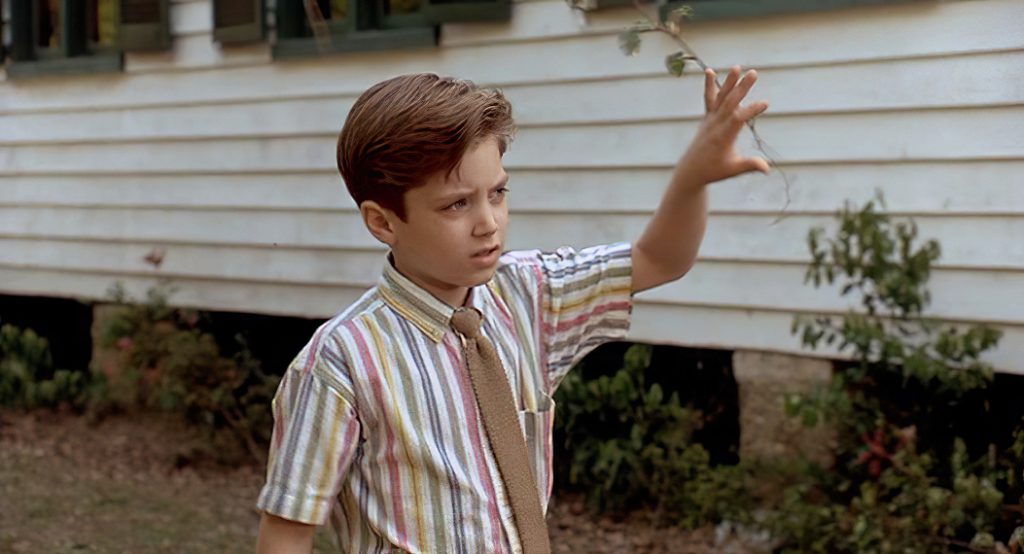 Paradise – Always & Forever: Elijah Wood